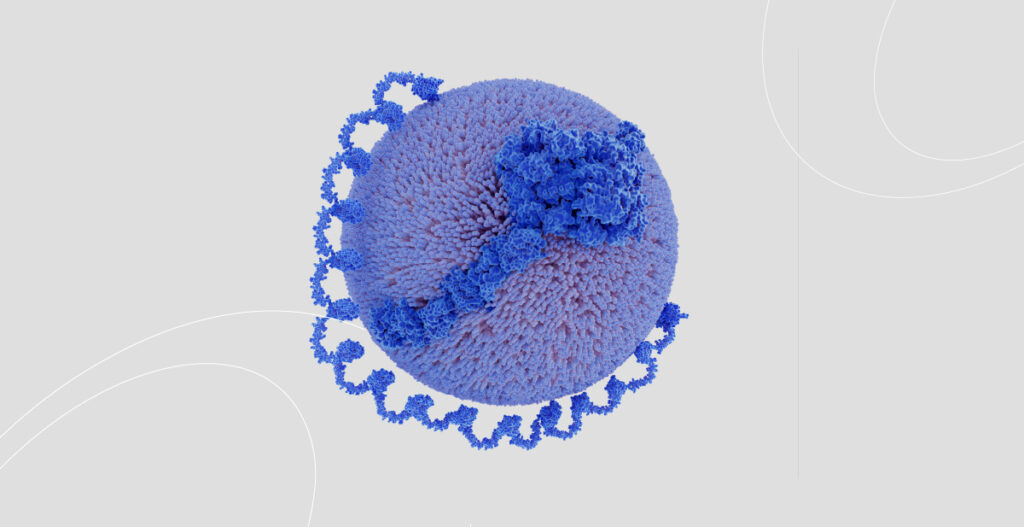 Lipoproteína A (LPA): qué es y por qué medirla en un análisis de sangre