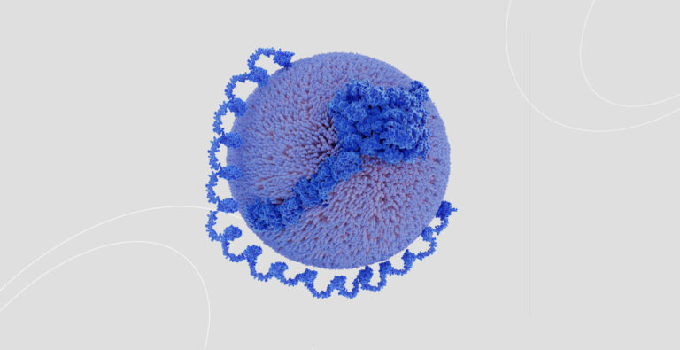 Lipoproteína A (LPA): qué es y por qué medirla en un análisis de sangre